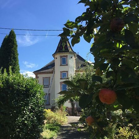 Apartamento L'Aromeantic Rothau Exterior foto
